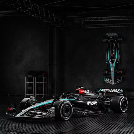 Authentic F1 Racers Replicas 1:1 or 1:2 ratio