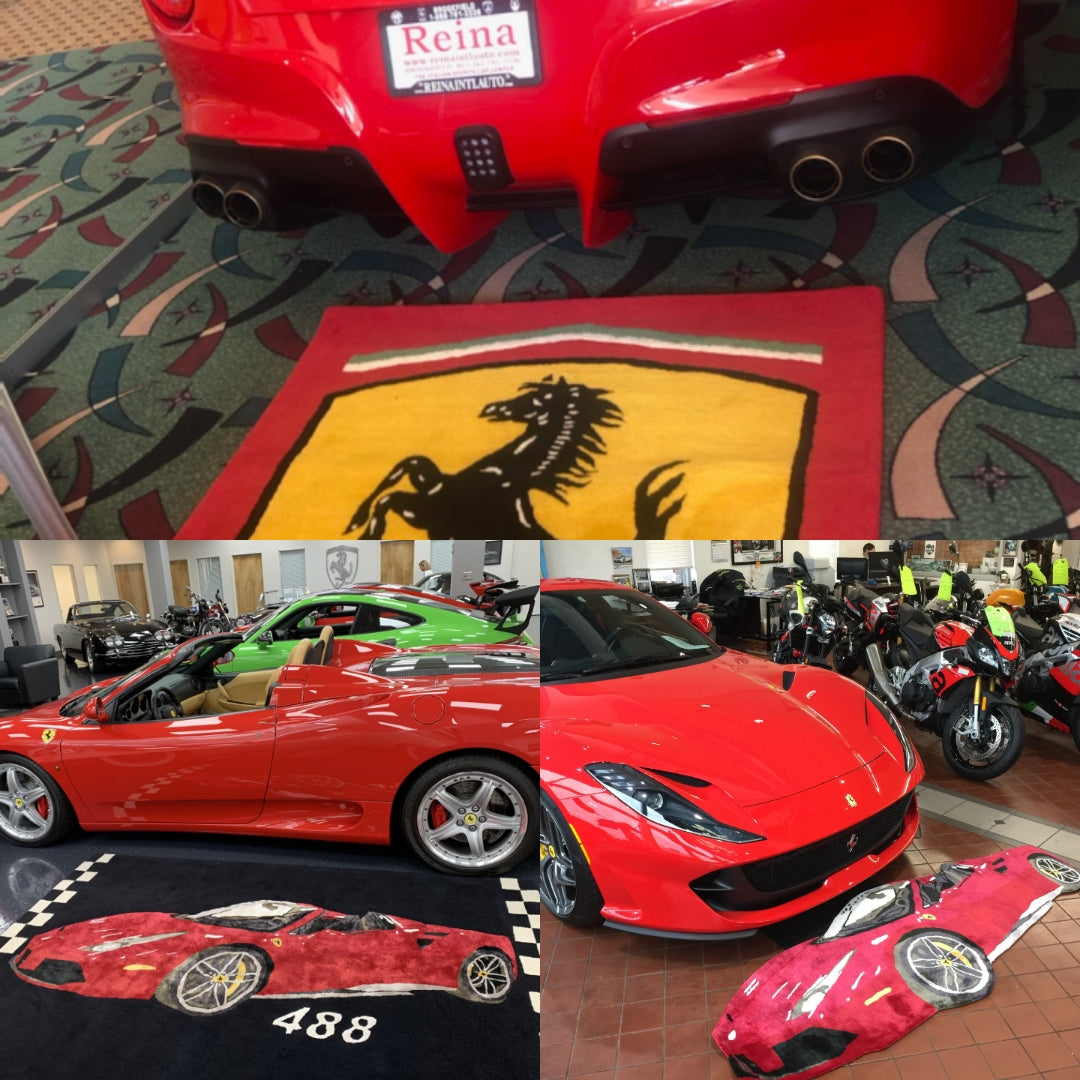 PINNACLE Brand Bespoke Exotic Car rugs