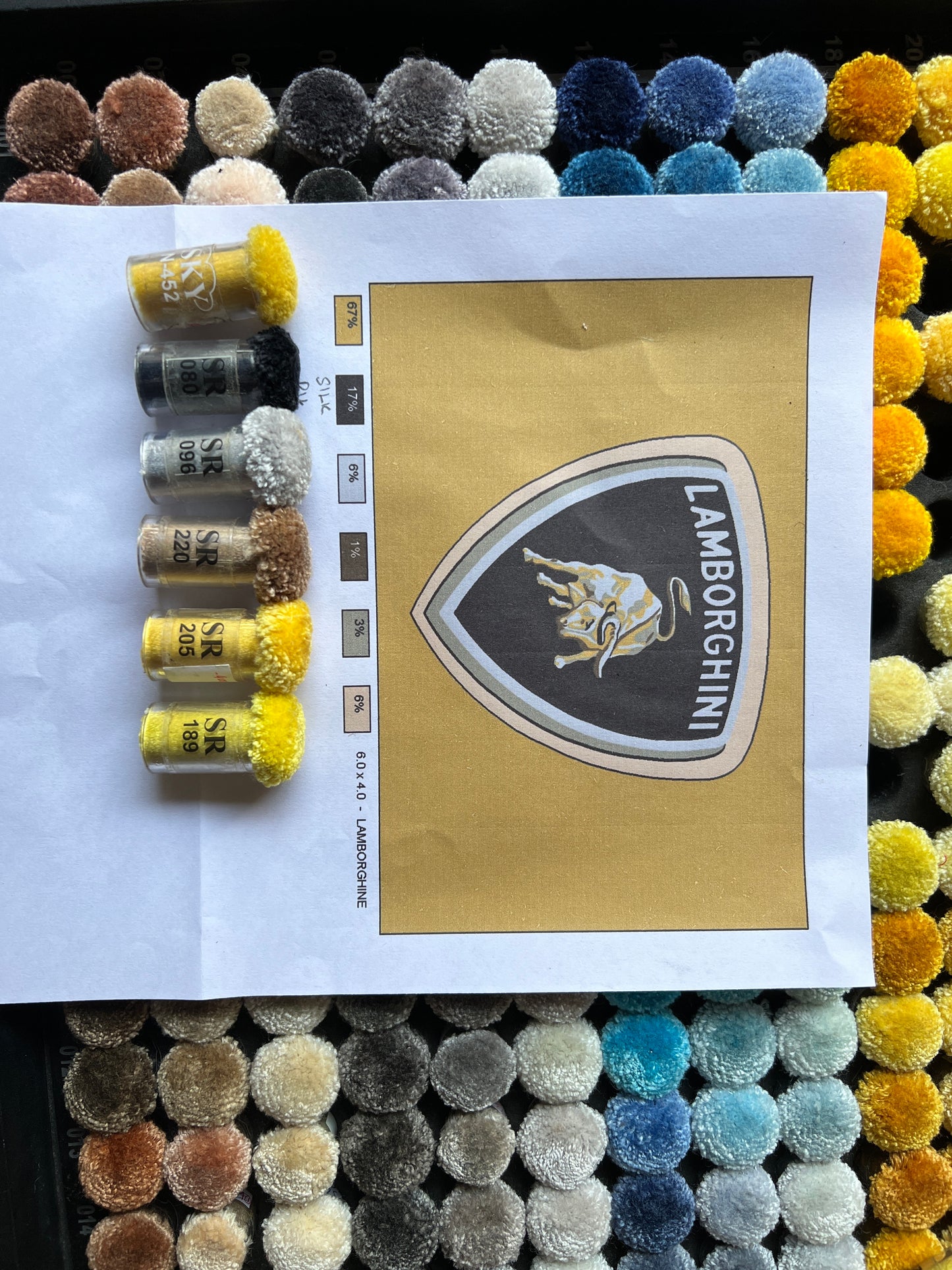 Lambo custom Rug