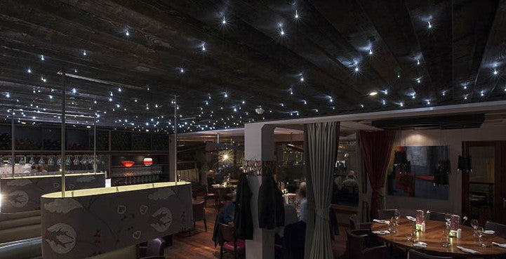 Pinnacle Brand 'Starry Night' Display lighting packages